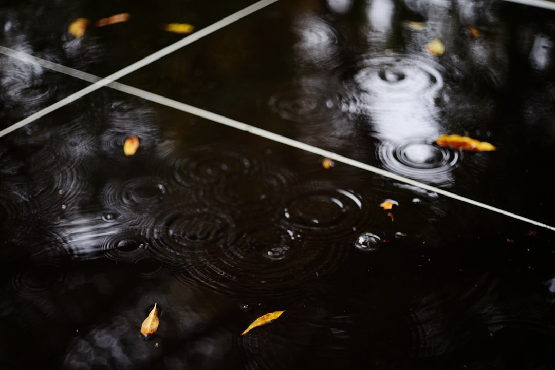 Luxury vinyl plank in Vivian living room